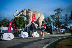 BIB: 
                            <button type="button" onclick="openModal(26541665)" class="btn btn-primary btn-sm float-right btn-popup" data-toggle="modal" data-target=".modal-high-quality">
                        <i class="fas fa-shopping-cart"></i> Add to Cart
                    </button>
                                            <button type="button" onclick="isThisMe(26541665, true)" class="btn btn-success btn-sm float-right btn-popup btn-isme hidden" data-toggle="tooltip" data-placement="bottom" title="นี่คือรูปของคุณใช่ไหม คลิกที่นี่เพื่อเอาเข้าอัลบั้ม">
                        <i class="fas fa-plus"></i> Add to album
                    </button>
                    <button type="button" onclick="isThisMe(26541665, false)" class="btn btn-warning btn-sm float-right btn-popup btn-isnotme hidden">
                        <i class="fas fa-ban"></i> Remove from album
                    </button>